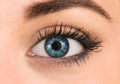 FreshLook Contact Lenses