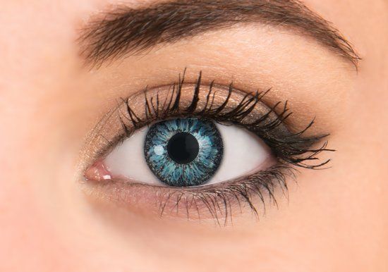 FreshLook Contact Lenses